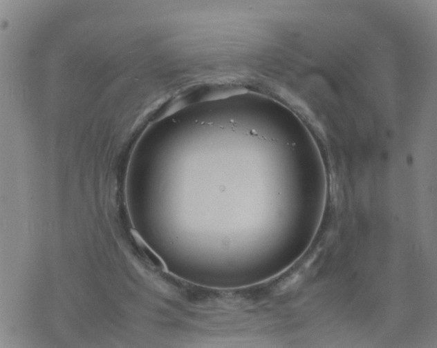 X0000074330201200609082040