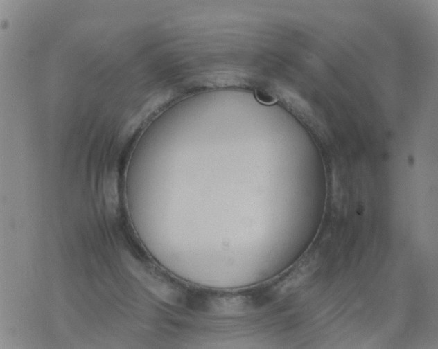 X0000074330202200609082040