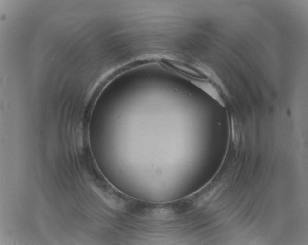 X0000074330204200609082040