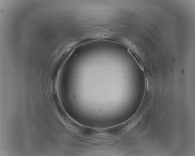 X0000074330205200609082040