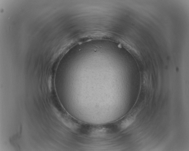 X0000074330206200609082040