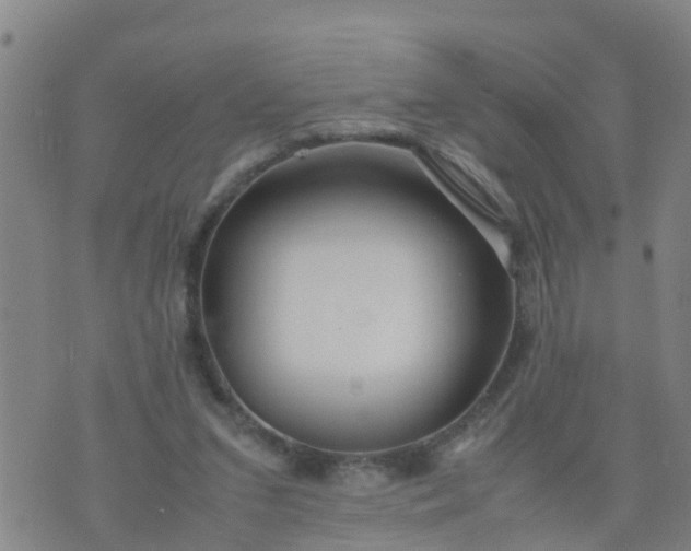 X0000074330207200609082040