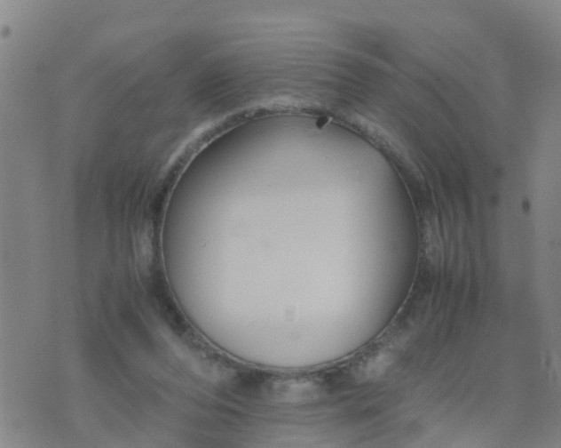 X0000074330208200609082040