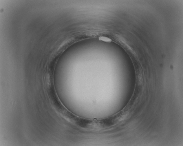 X0000074330211200609082040