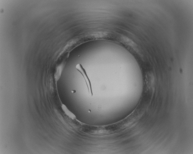 X0000074330212200609082040