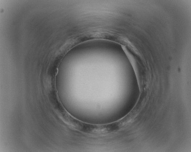 X0000074330213200609082040