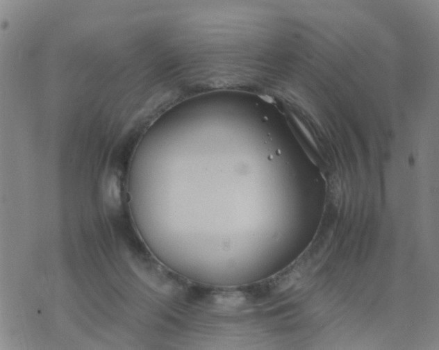 X0000074330214200609082040