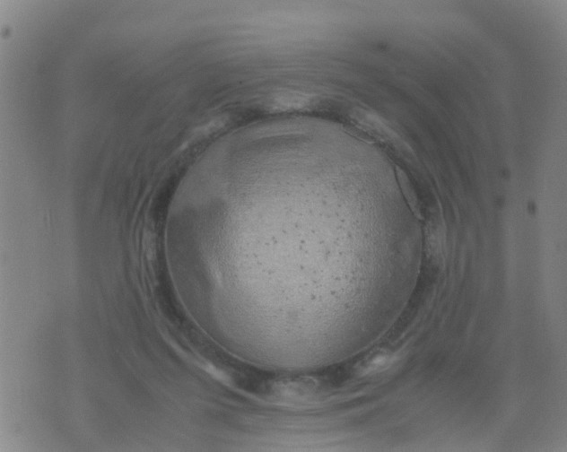 X0000074330215200609082040