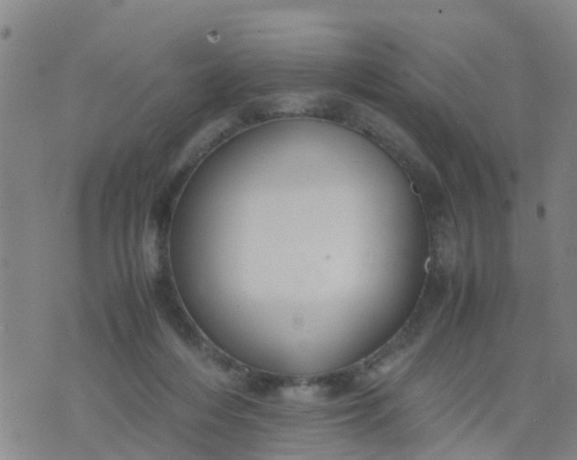 X0000074330216200609082040