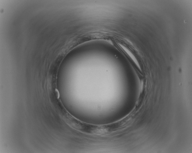 X0000074330217200609082040