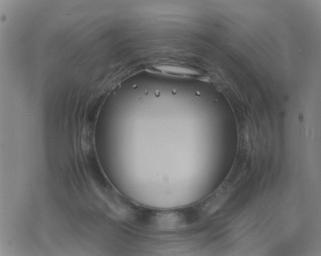 X0000074330218200609082040