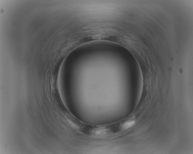 X0000074330219200609082040