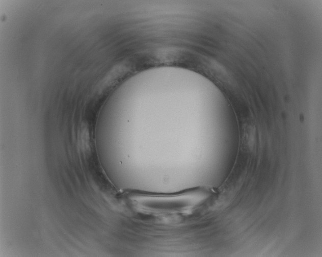 X0000074330220200609082040