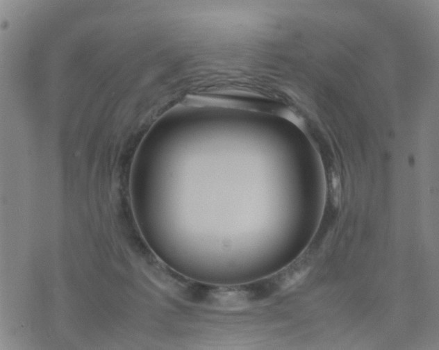 X0000074330221200609082040