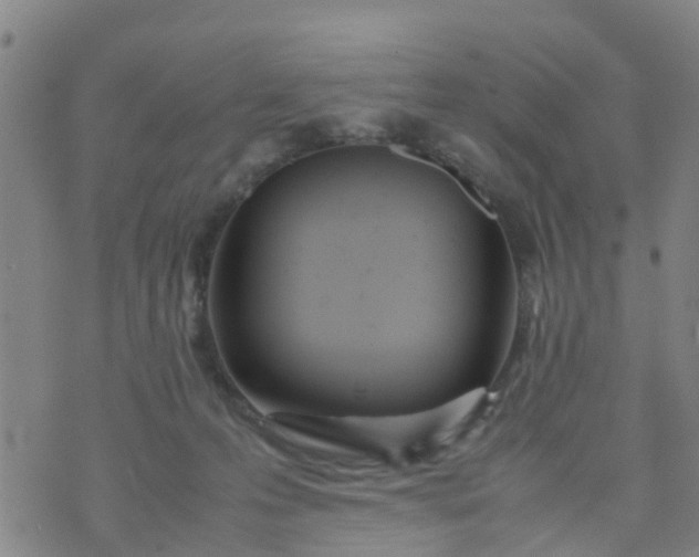 X0000074330223200609082040