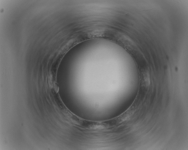 X0000074330224200609082040