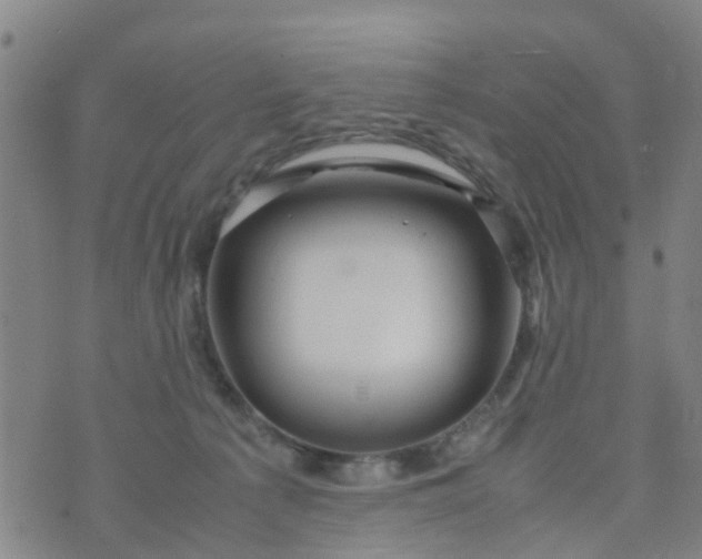 X0000074330225200609082040