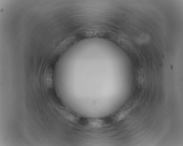 X0000074330226200609082040