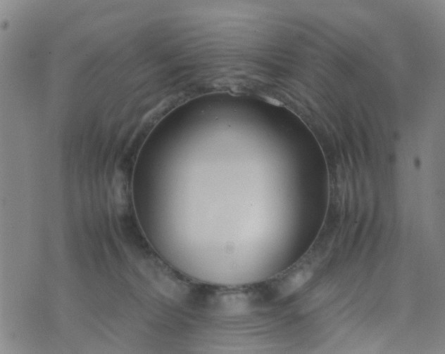 X0000074330228200609082040