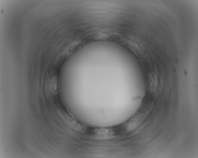 X0000074330230200609082040