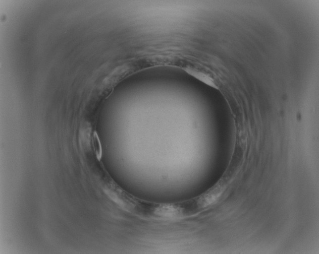 X0000074330231200609082040