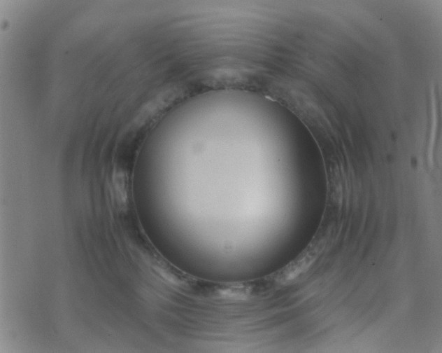 X0000074330232200609082040