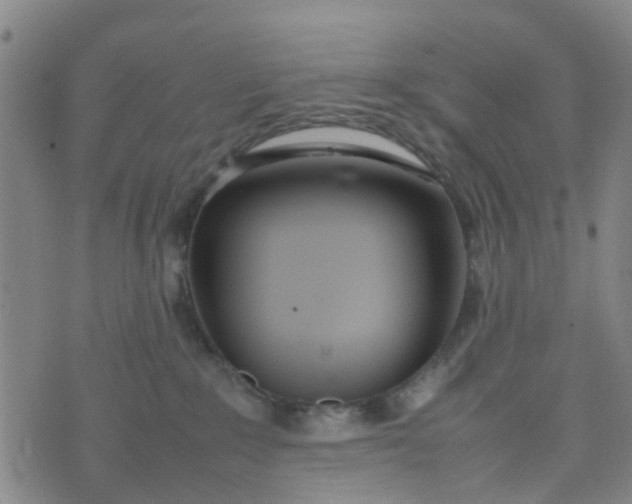 X0000074330235200609082040