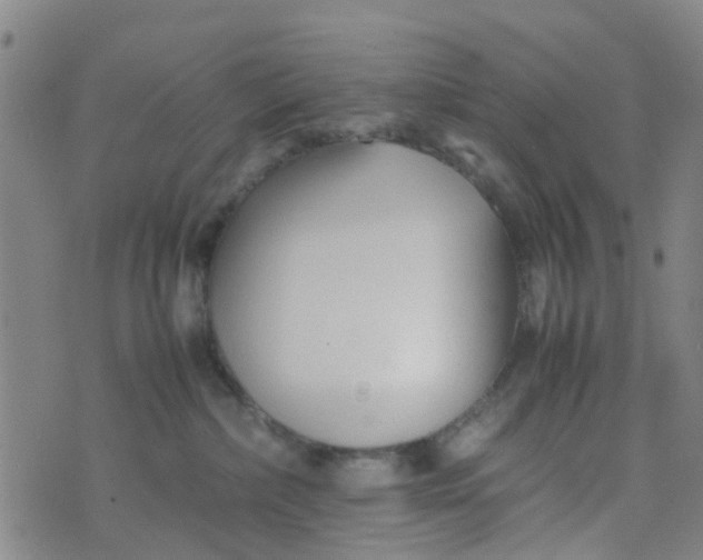 X0000074330236200609082040