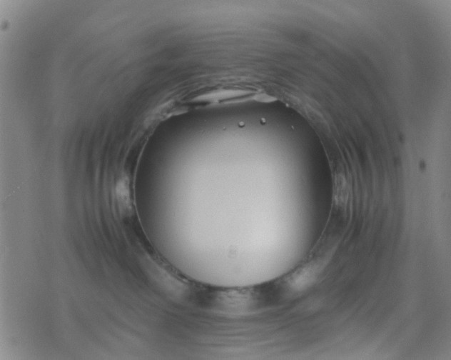 X0000074330238200609082040