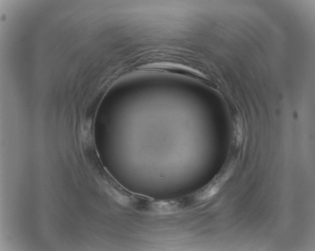 X0000074330239200609082040