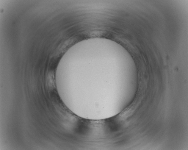 X0000074330240200609082040