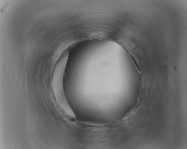 X0000074330241200609082039