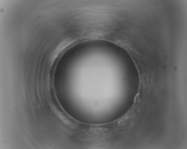 X0000074330242200609082039