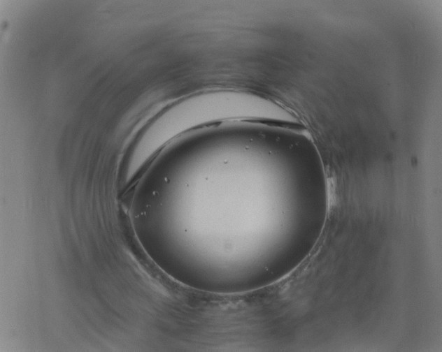 X0000074330243200609082039