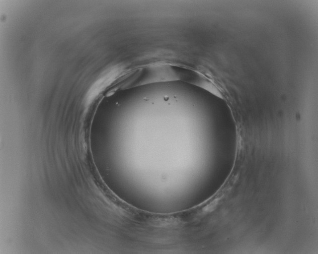 X0000074330245200609082039