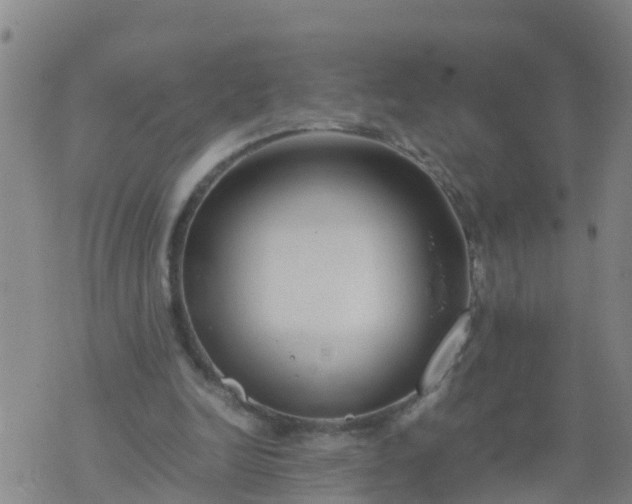 X0000074330246200609082039