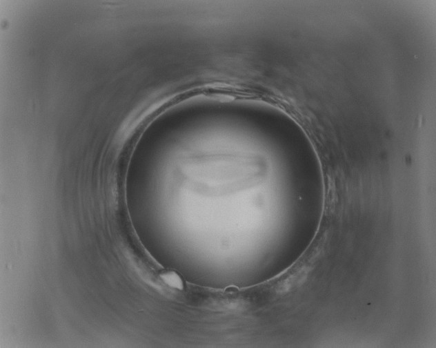 X0000074330247200609082039