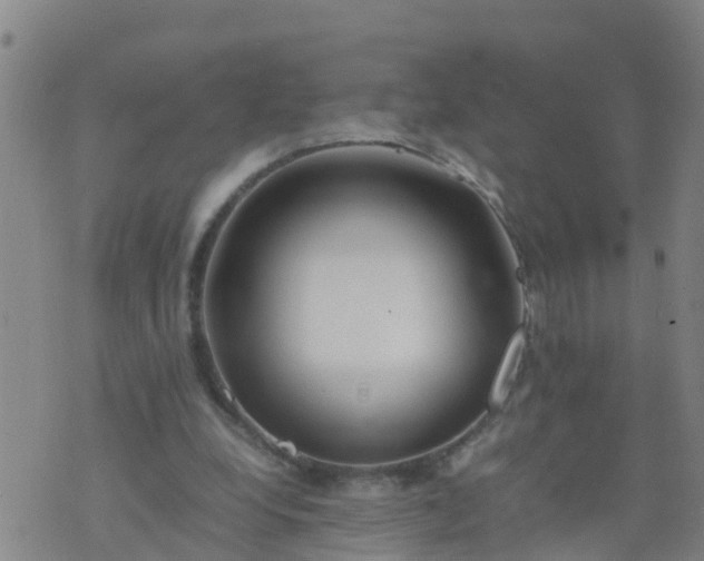 X0000074330248200609082039