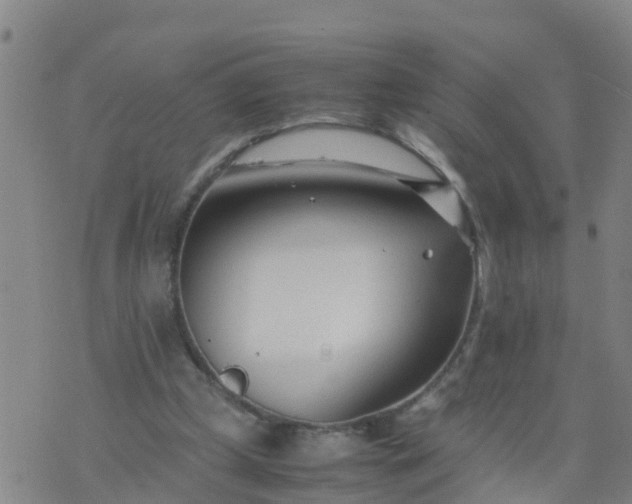 X0000074330249200609082039