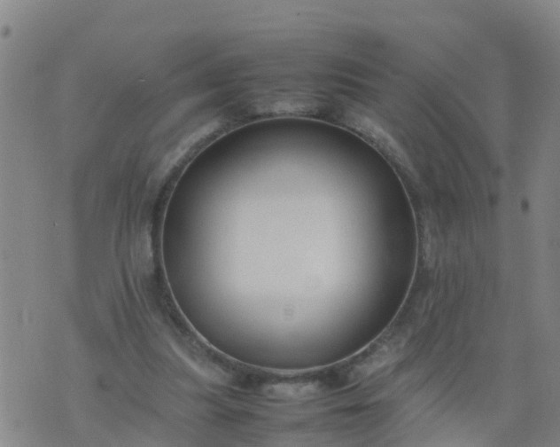 X0000074330251200609082039