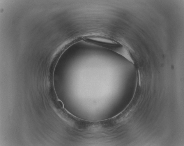 X0000074330252200609082039