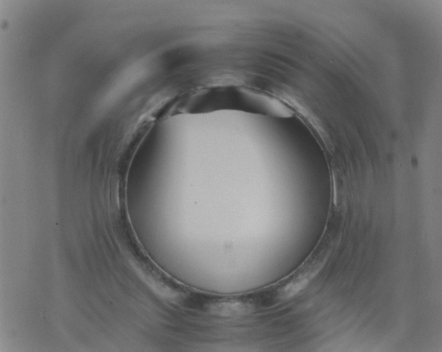 X0000074330253200609082039