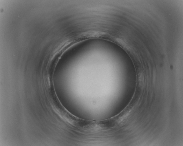 X0000074330254200609082039