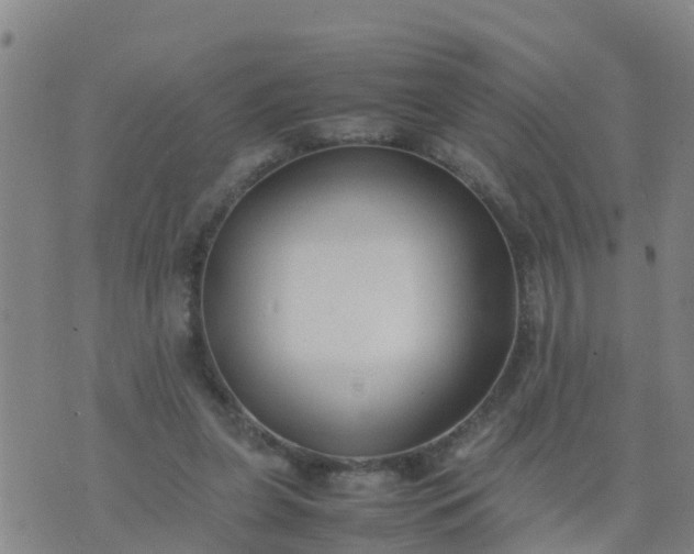 X0000074330255200609082039