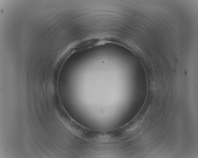 X0000074330256200609082039