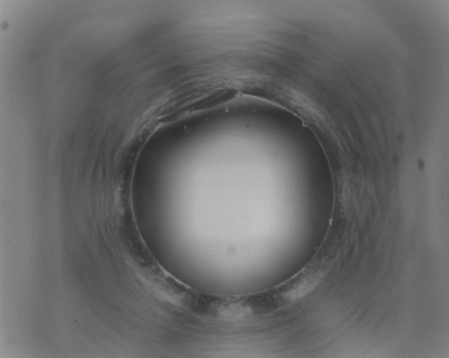 X0000074330258200609082039