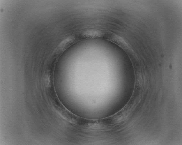 X0000074330259200609082039