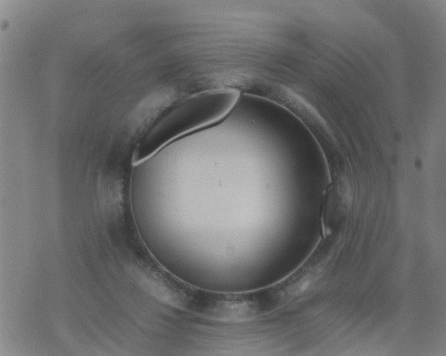 X0000074330260200609082039