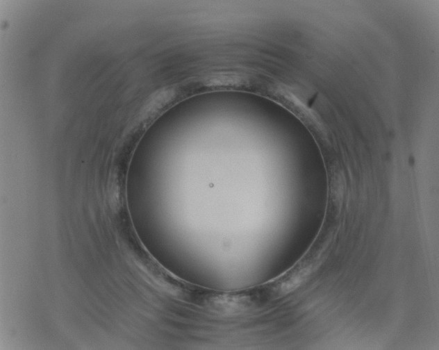 X0000074330261200609082039