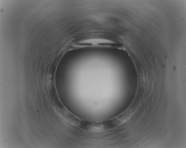 X0000074330263200609082039